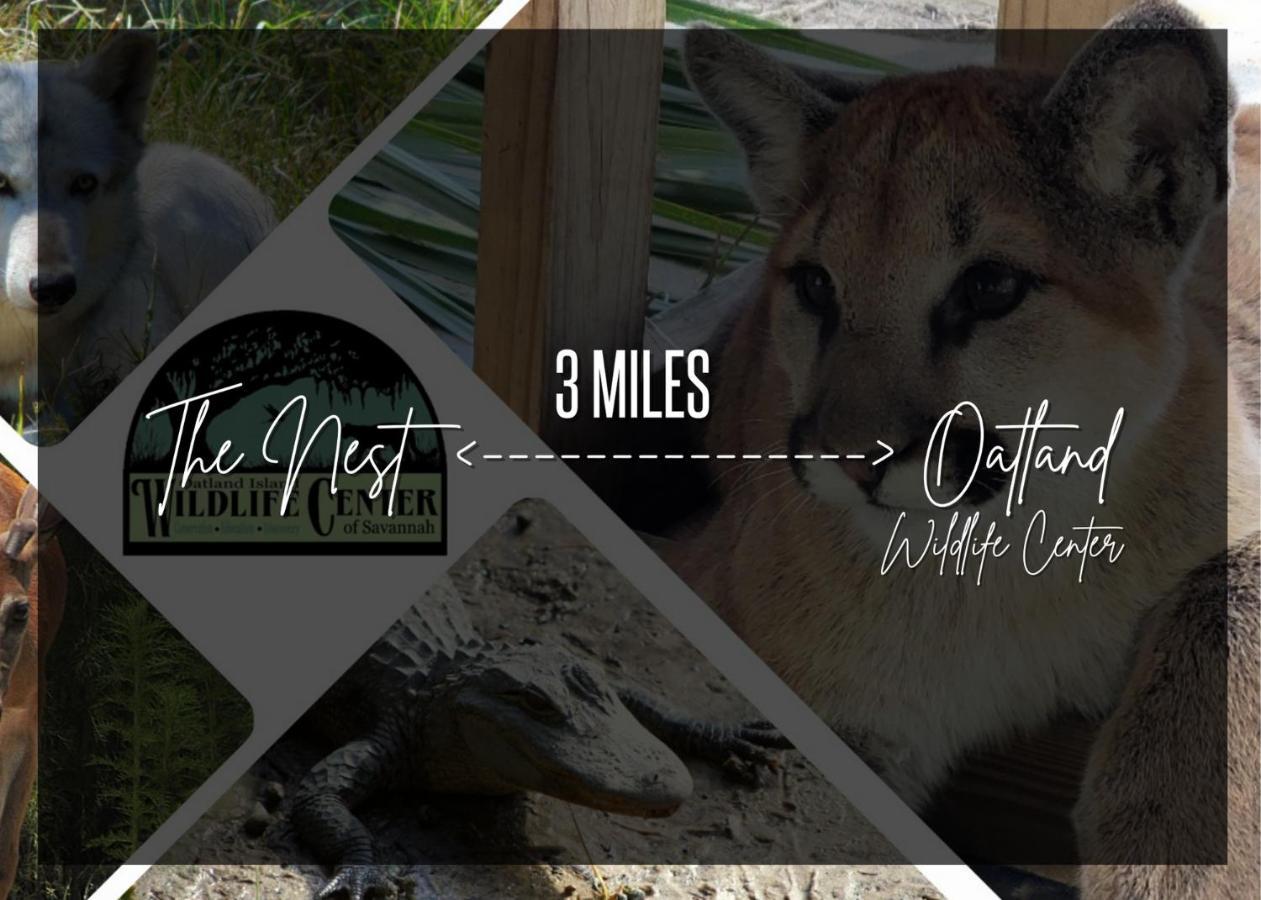 Cozy Oasis 15Min To Dt & Tybee, Home Away From Home - The Nest Savannah Eksteriør billede